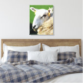 TOILE MOUTON MIGNON (Insitu(Chambre))