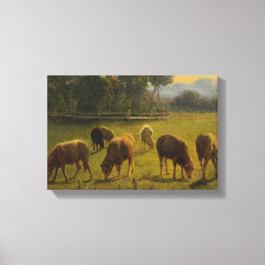 Toile Moutons dans un paysage rural (par Rosa Bonheur) (Recto)