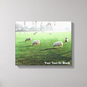 Toile Moutons du palais de Blenheim (Recto)