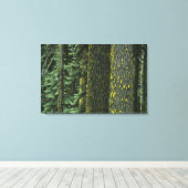Toile Mt. Ashland, forêt nationale de Rogue River, (Insitu (Plancher de Bois))