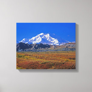 Toile Mt . McKinley Parc national de Denali , Alaska.