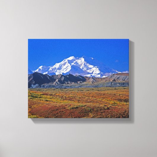 Toile Mt. Parc national McKinley Denali, Alaska. (Recto)