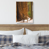 Toile Mule Deer (Insitu(Chambre))