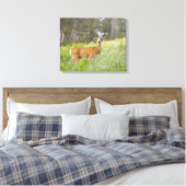Toile Mule Deer (Odocoileus hemionus) dans la prairie (Insitu(Chambre))
