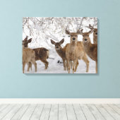 Toile Mule Deer Wyoming (Insitu (Plancher de Bois))