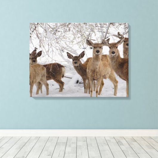 Toile Mule Deer Wyoming (Insitu (Plancher de Bois))