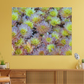 Toile Mums Word for Fall Splendor sur un (Insitu(Salon))