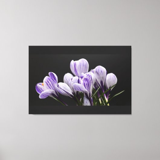 Toile murale étirée (Recto)