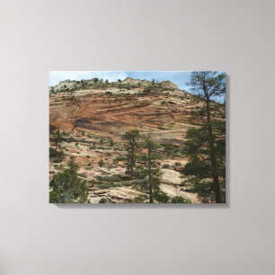 Toile Murs de roche usés dans le parc national de Zion