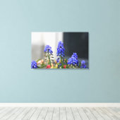 Toile muscari à grappe (Insitu (Plancher de Bois))