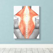 Toile Muscles Du Dos Et Du Cou (Insitu (Plancher de Bois))
