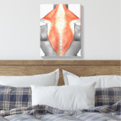 Toile Muscles Du Dos Et Du Cou (Insitu(Chambre))