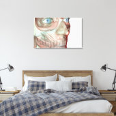 Toile Musculosquelette du visage 3 (Insitu(Chambre))