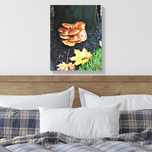 Toile Mushrooms on a tree, Oregon (Insitu(Chambre))