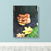 Toile Mushrooms on a tree, Oregon (Insitu (Plancher de Bois))