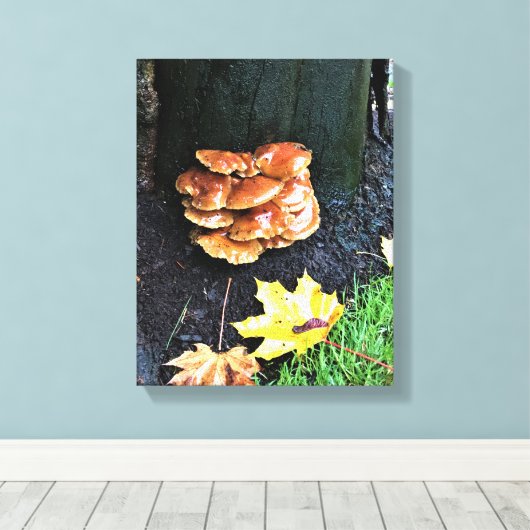 Toile Mushrooms on a tree, Oregon (Insitu (Plancher de Bois))