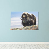 Toile Musk Ox with Calf (Insitu (Plancher de Bois))