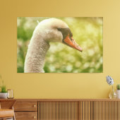 Toile Mute Swan (Insitu(Salon))