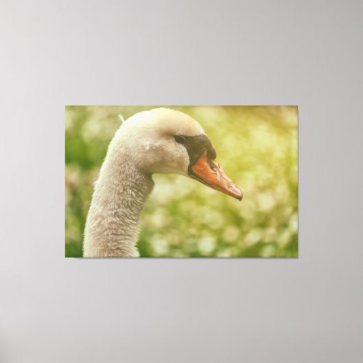 Toile Mute Swan (Recto)