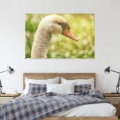 Toile Mute Swan (Insitu(Chambre))