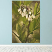 Toile Myrtille 585 (Insitu (Plancher de Bois))