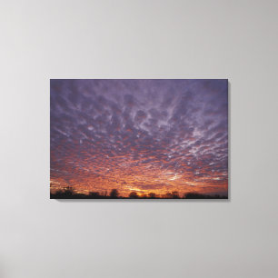 Toile N.A., États-Unis, Nouveau-Mexique, près de Las Cru