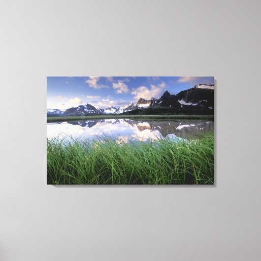 Toile NA, Canada, Alberta, vallée de Tonquin. Jasper (Recto)