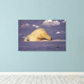 Toile NA, Canada, Manitoba, Churchill, Ours polaire (Insitu (Plancher de Bois))