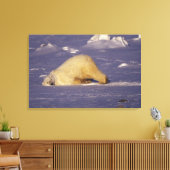 Toile NA, Canada, Manitoba, Churchill, Ours polaire (Insitu(Salon))