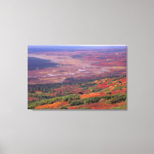Toile NA, États-Unis, Alaska, Parc national Denali, Vue 