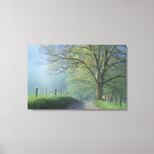 Toile NA, États-Unis, Tennessee, Cades Cove, Great Smoky