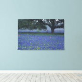 Toile NA, Texas, Devine, Chêne et bonnets bleus (Insitu (Plancher de Bois))