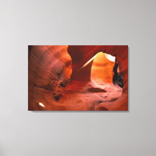 Toile NA, USA, Arizona, Paria Canyon.Sandstone