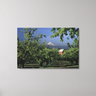 Toile NA, USA, Oregon, près de Hood River Mt Hood avec