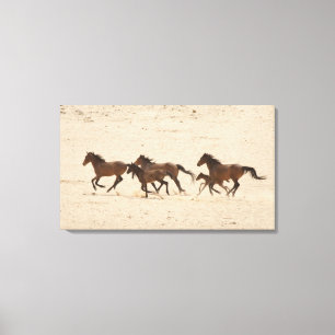 Toile Namibie, Aus. Groupe de chevaux sauvages en train