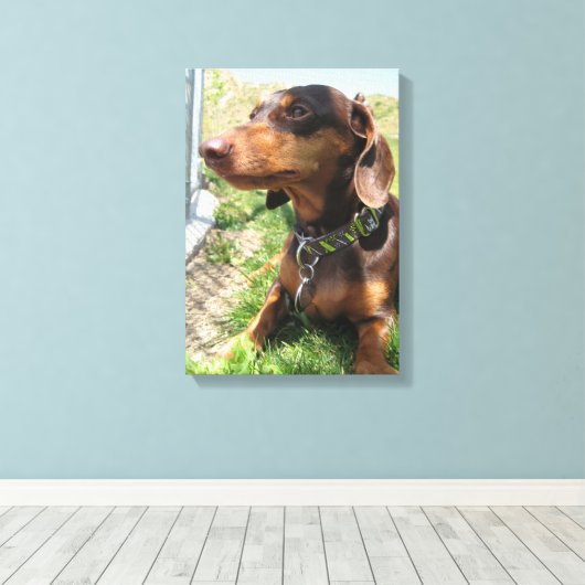 Toile Napoléon (Insitu (Plancher de Bois))