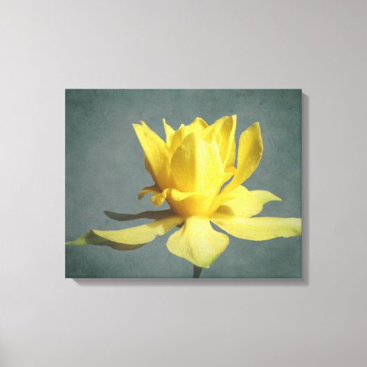 Toile Narcisse Ressort Jaune Imprimer (Recto)