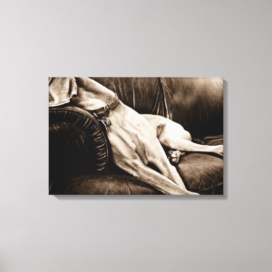 Toile Nation Weimaraner : "Reprendre le canapé" (Recto)