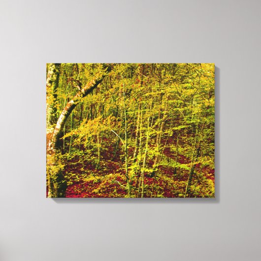 Toile nature (Recto)