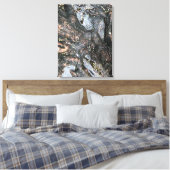 Toile Nature Tree Roots Rainy Day Puddle Photo Art (Insitu(Chambre))