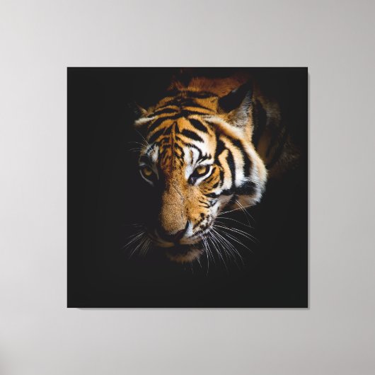 Toile Nature's Wild Animals - Tiger Canvas (Recto)