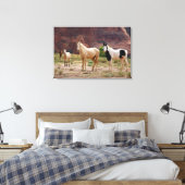 Toile Navajo Horses Run Free sur le Canyon Floor (Insitu(Chambre))