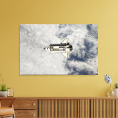 Toile Navette spatiale Endeavor 13 (Insitu(Salon))