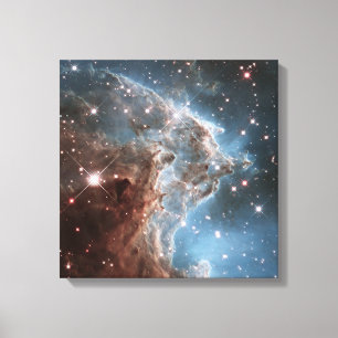 Toile Nebula tête de singe