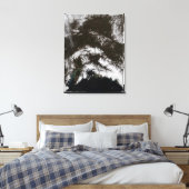 Toile Neige dans le centre sud de l'Alaska (Insitu(Chambre))