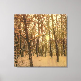 Toile Neige Et Lumière De La Forêt D'Hiver
