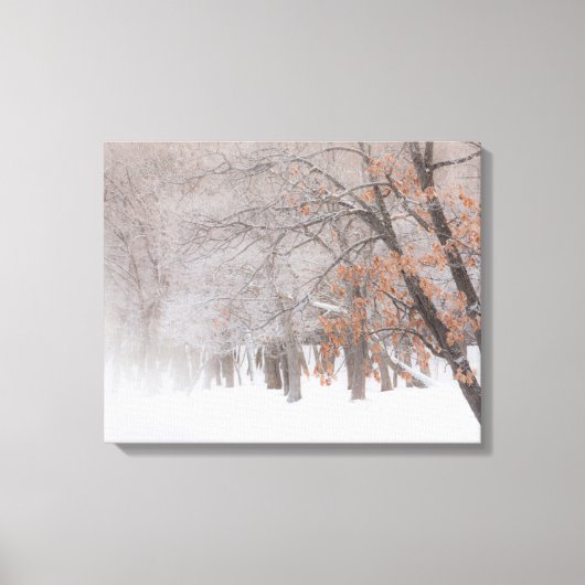 Toile Neige | Lac Kussharo (Recto)