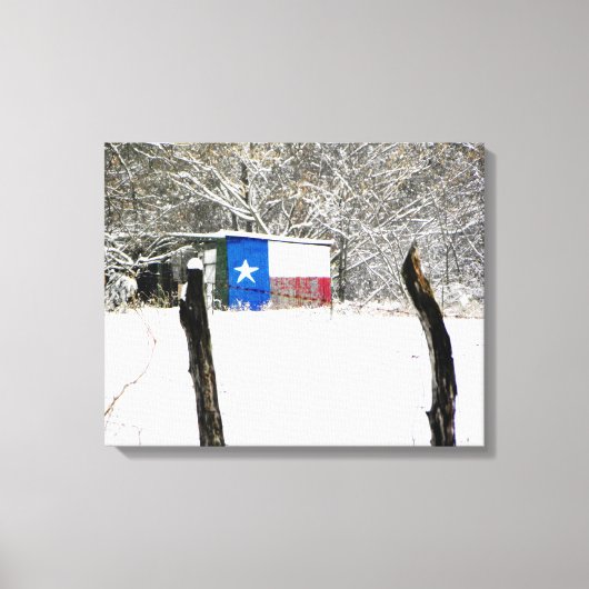 Toile Neige Texas (Recto)