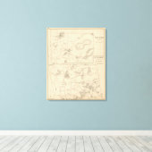Toile Nelson, Rindge (Insitu (Plancher de Bois))