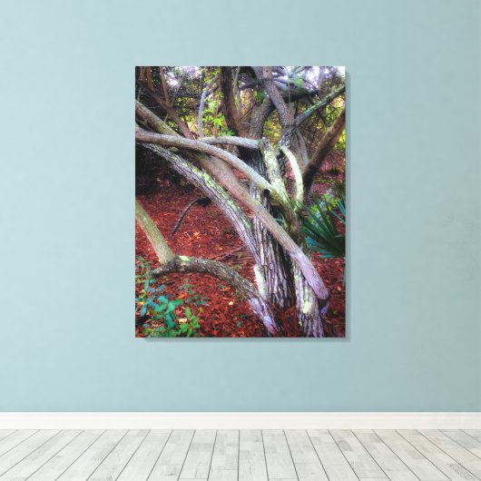 Toile Nettoyage enchanté (Insitu (Plancher de Bois))